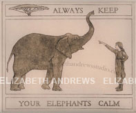 Always keep your elephants calm